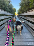 Braided Clip Leash