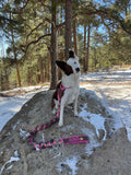 Braided Real Fur clip Leash
