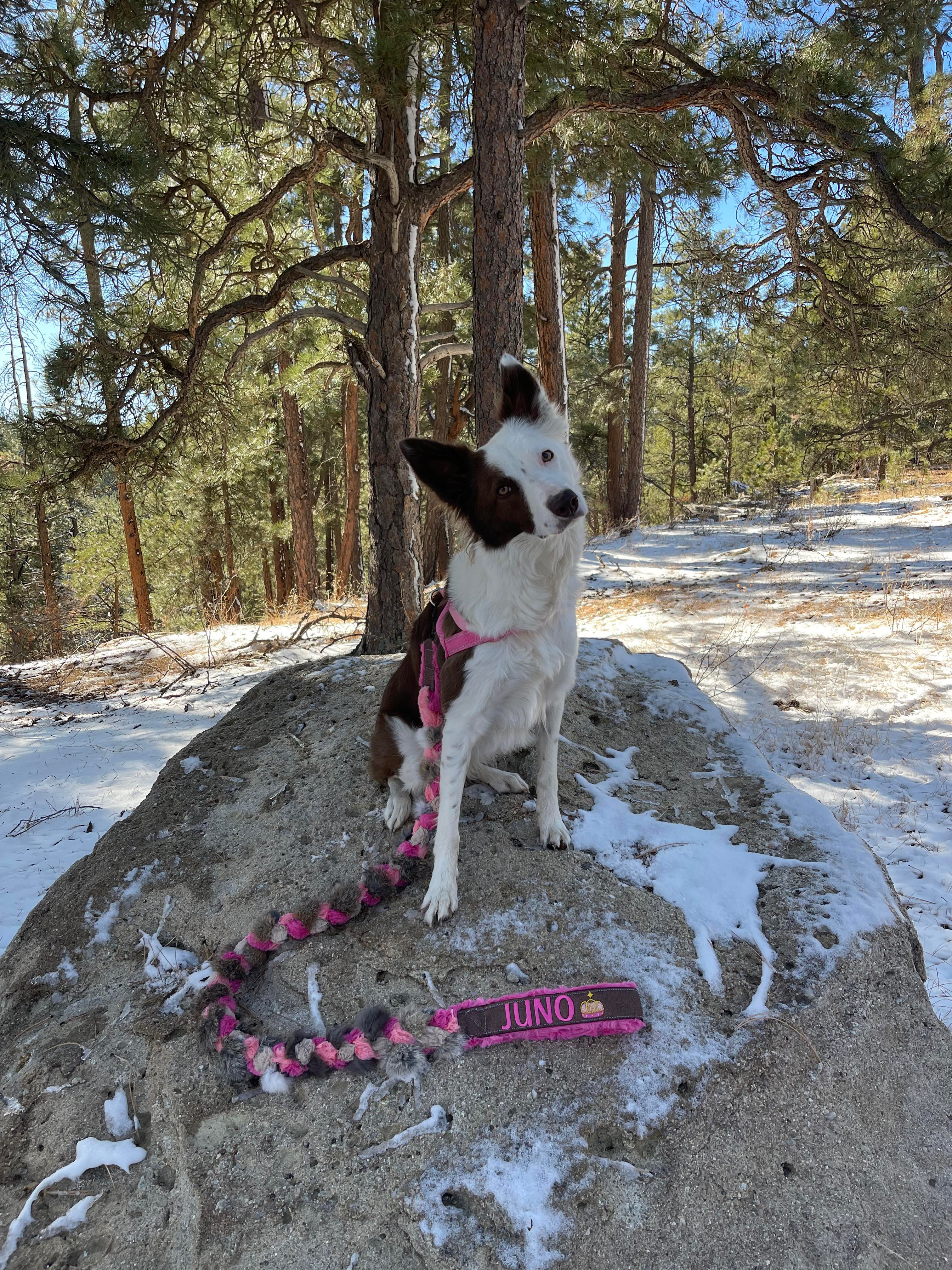 Braided Real Fur clip Leash