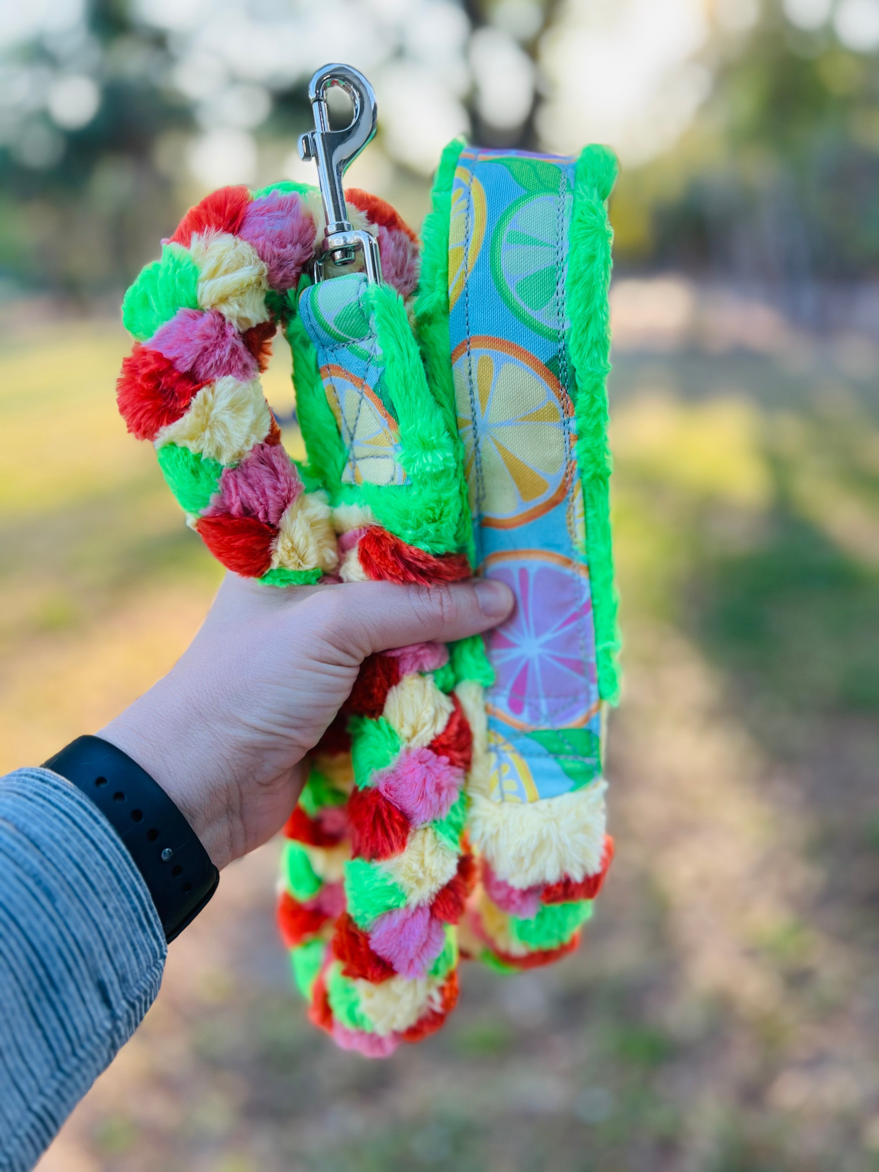 Citrus fun 5 ft recycled canvas normal  leash