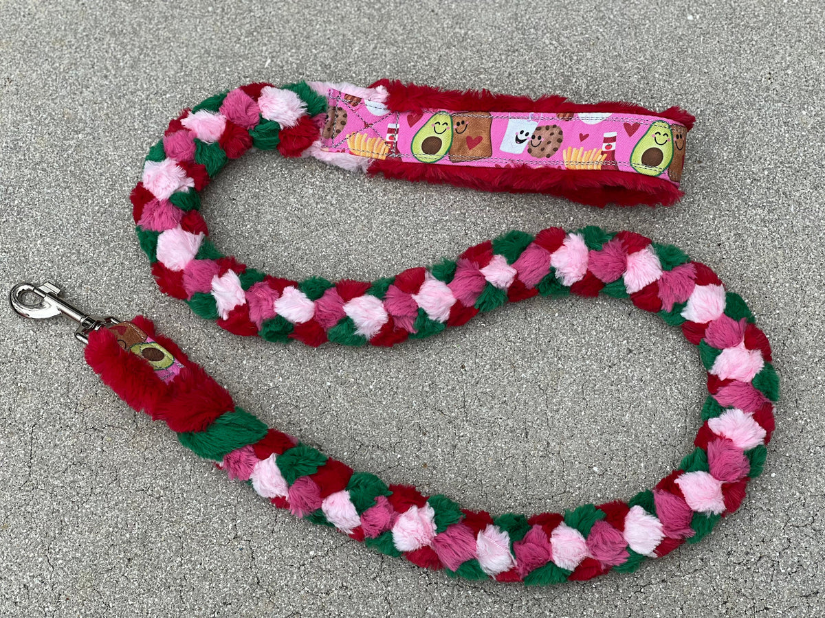Best Freinds Leash