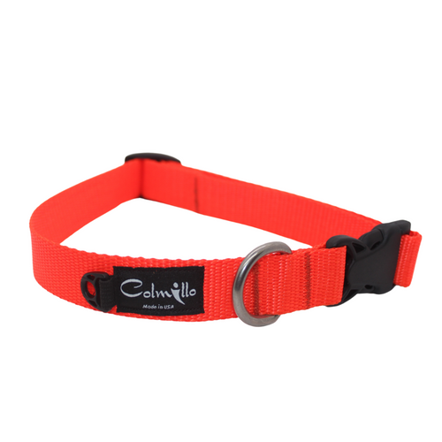 Premium Nylon Dog Collar - Dog Collar