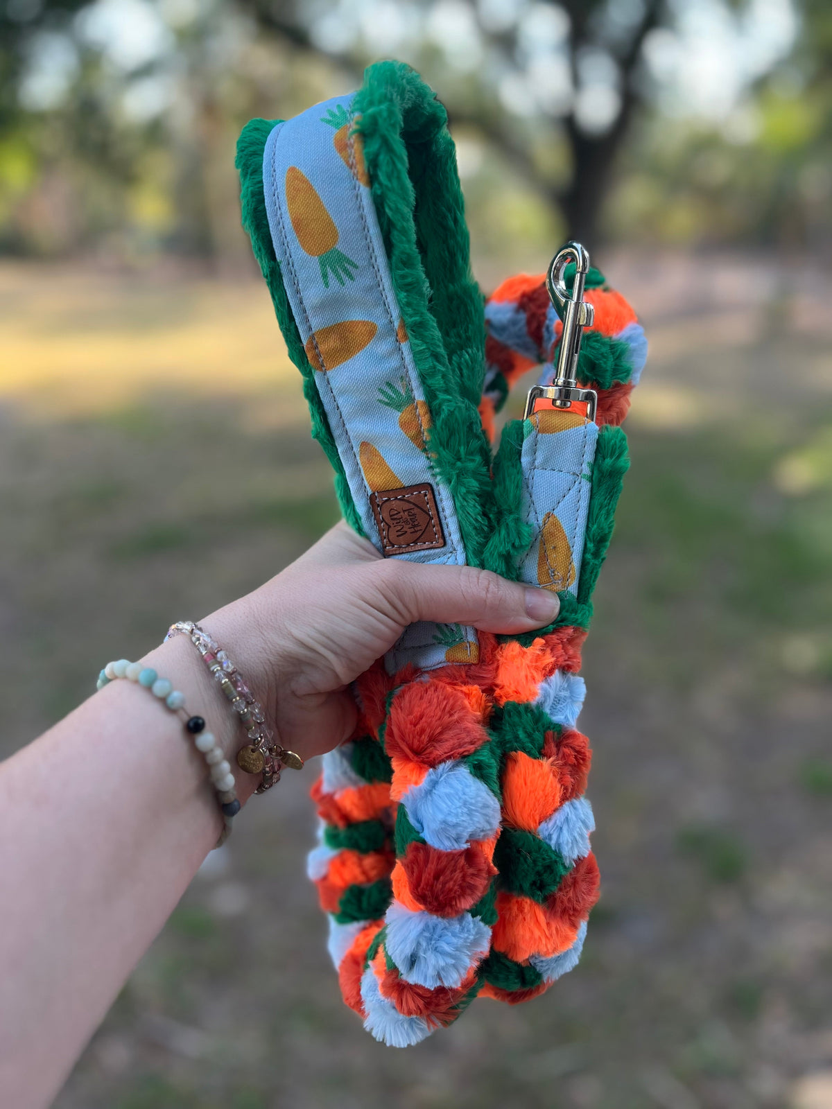 Carrot 🥕 clip leash