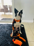 All in one leash with tuggie