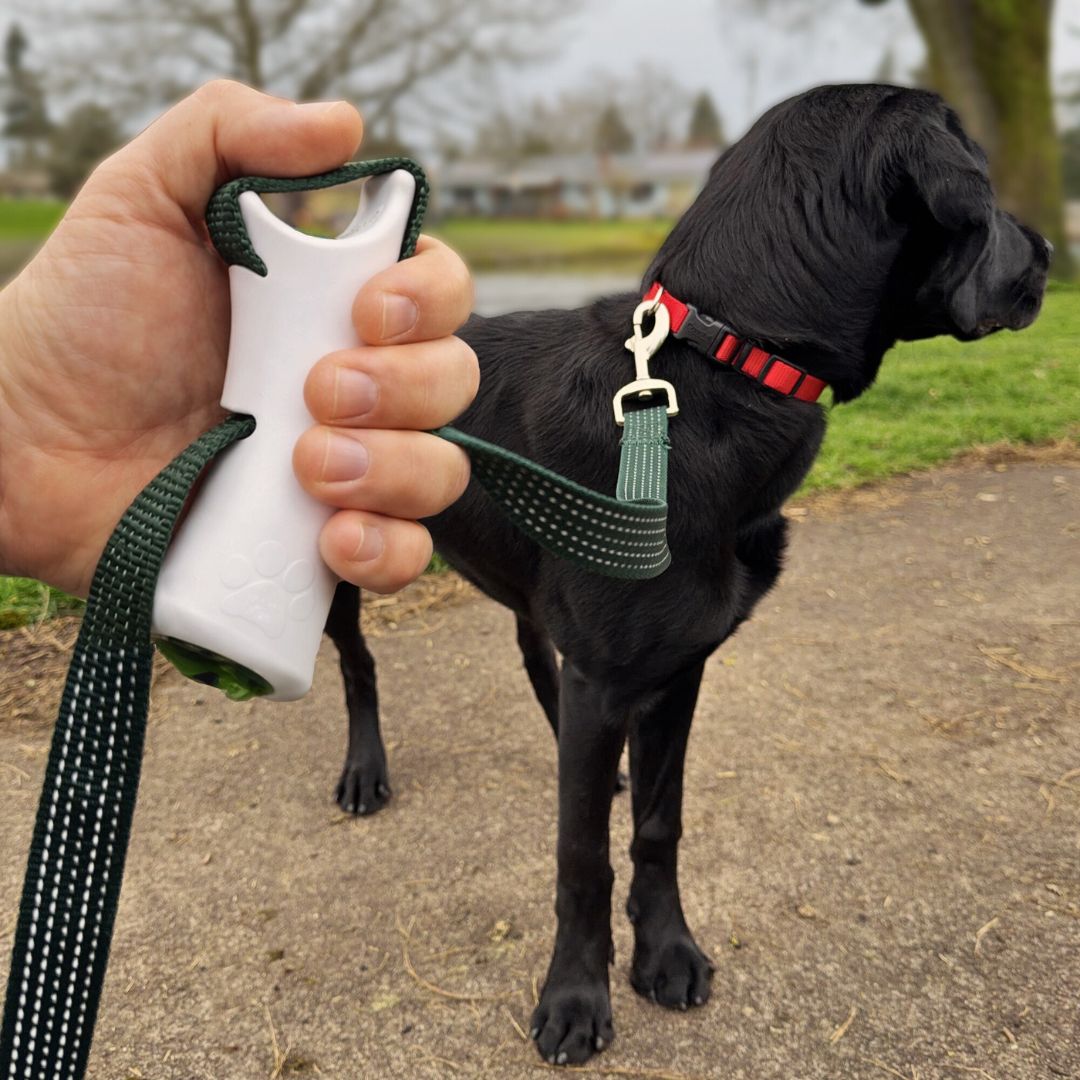Quick-Control™ Dog Leash with Adjustable Second Grip